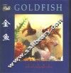 金鱼  中英文本