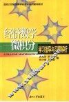 经济数学-微积分学习指导与习题解析