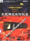 Combustion Effect Paint影视特效制作秘笈