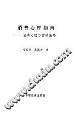 《消费心理指南  消费心理与营销策略》txtpdf电子书籍百度网盘下载网站