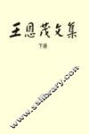 王恩茂文集  下