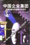 中国企业集团发展战略及管理现代化研究
