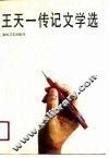 王天一传记文学选