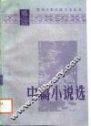 中篇小说选