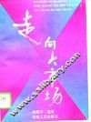 走向大市场