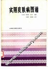 实用皮肤图谱