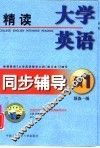 大学英语精读同步辅导  预备一级