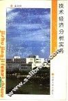 技术经济分析实务