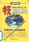 今天我们在做什么  中国改革发展战略报告