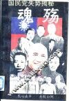 魂殇国民党失势揭秘