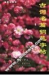 古词名篇钢笔字帖