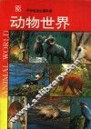 动物世界