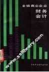乡镇商业企业财务会计