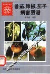番茄、辣椒、茄子病害图谱