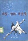 肉鸽·信鸽·观赏鸽