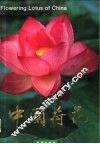 中国荷花  中英文对照