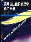 实用皮肤组织病理学彩色图谱