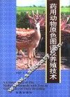 药用动物原色图谱及养殖技术