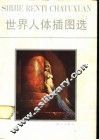 世界人体插图选
