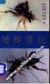 蟋蟀赏玩