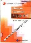 人体解剖学