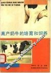 高产奶牛的培育和饲养