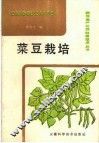 菜豆栽培