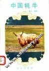 中国牦牛