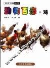 动物百态  鸡
