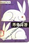 养兔问答