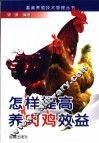 怎样提高养肉鸡效益