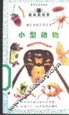 小型动物