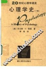 《20世纪心理学通览  心理学史  下》txtpdf电子书籍百度网盘下载网站