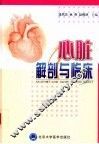 心脏解剖与临床