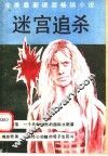 迷宫追杀
