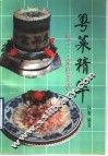 粤菜精华  家庭菜谱
