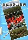 草莓高效益栽培