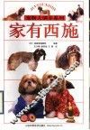 家有西施