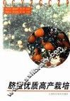 脐橙优质高产栽培