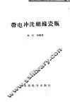 带电冲洗绝缘瓷瓶