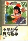 小学数学复习指导