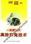高效养兔技术