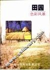 田园  色彩风景