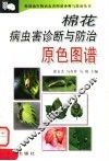 棉花病虫害诊断与防治原色图谱