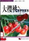 大樱桃保护地栽培