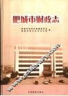 肥城市财政志