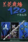 兰花栽培120个怎么办