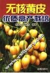 无核黄皮优质高产栽培