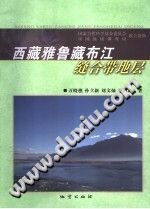 西藏雅鲁藏布江缝合带地层 PDF电子版-小书僮-第3张图片