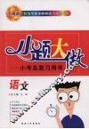 小题大做：小考总复习用书  语文  升级版